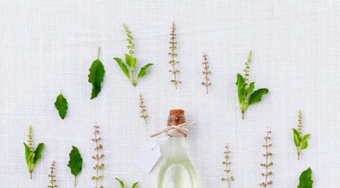 3x de beste oliën voor verzorging en gezondheid
