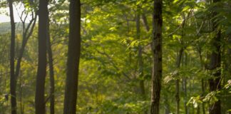 Alles voor een Actieve Vakantie: Tips en Uitrusting van ANWB